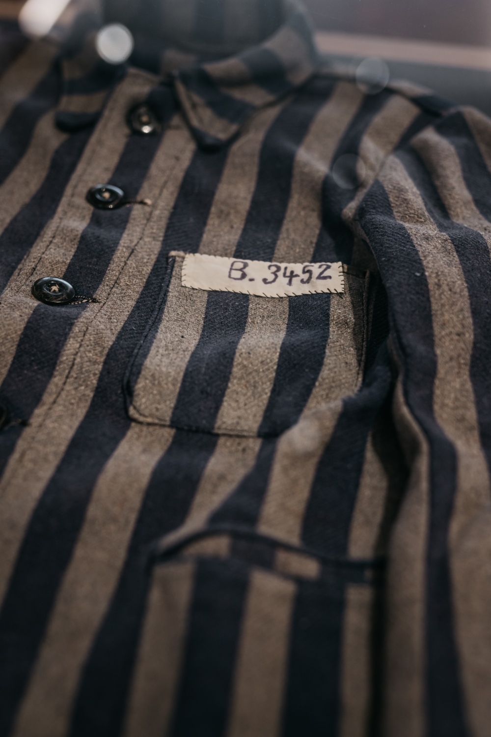 Auschwitz.camp