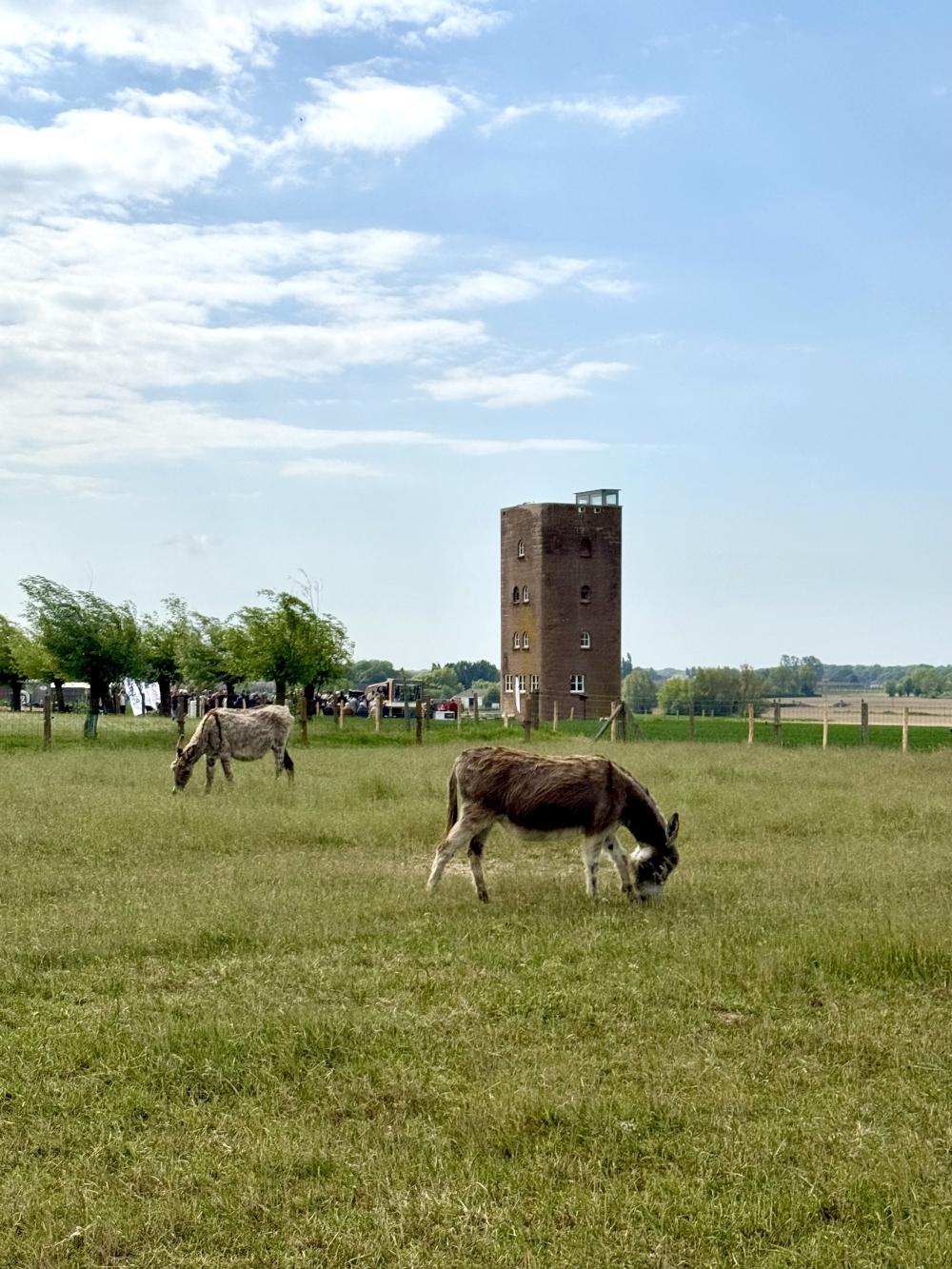 Duitse Toren Poperinge