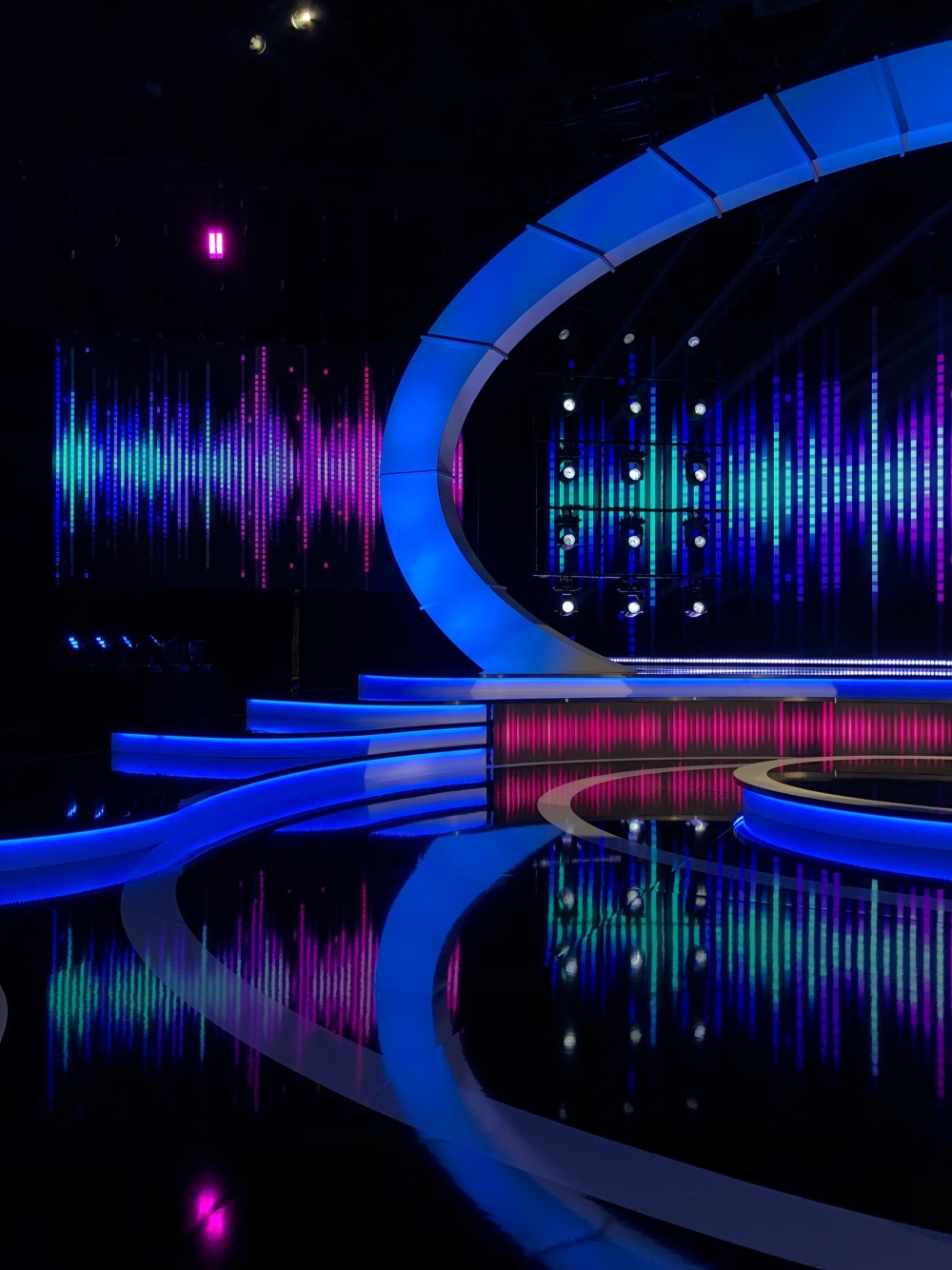 I Can See Your Voice