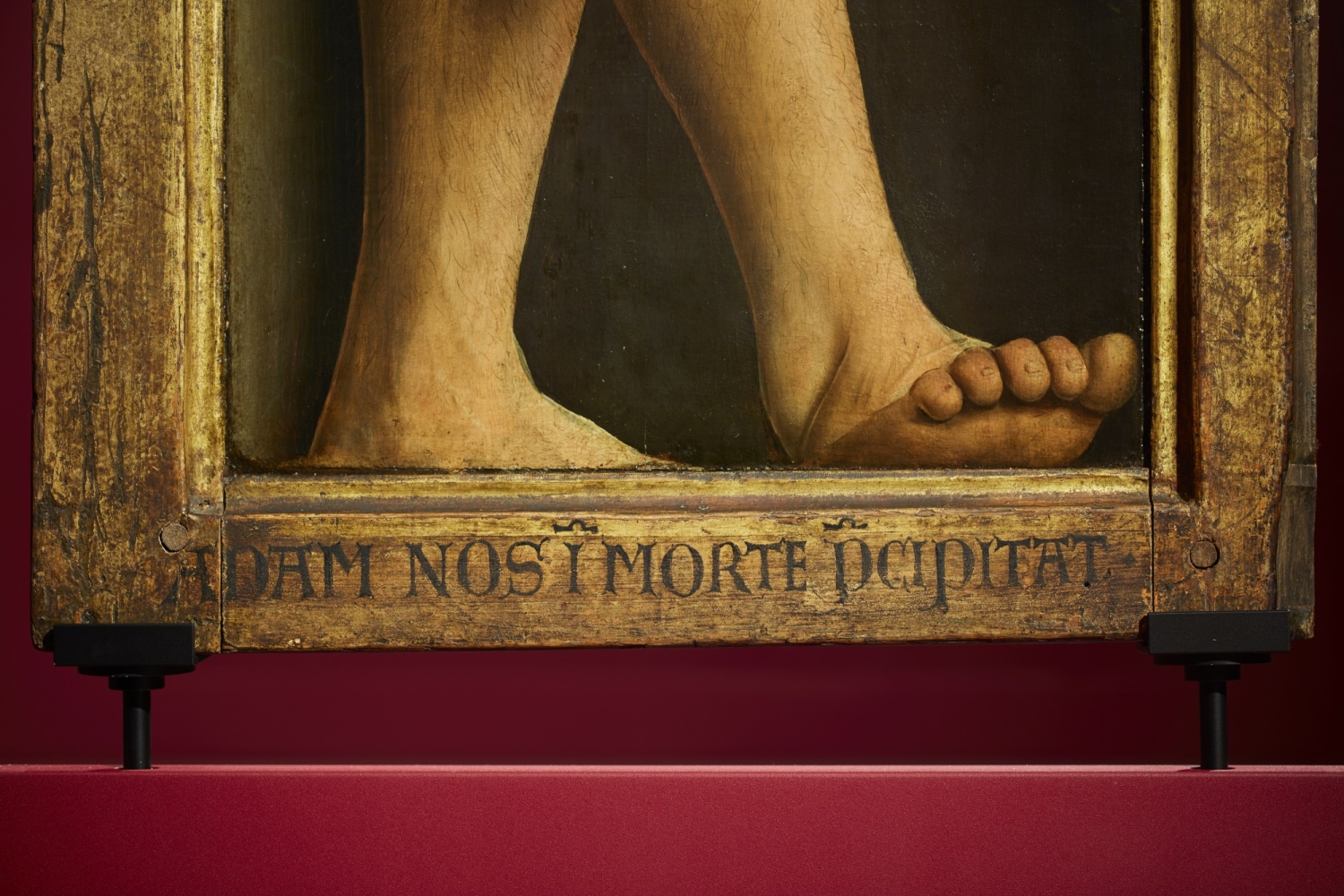 Van Eyck. Een optische revolutie