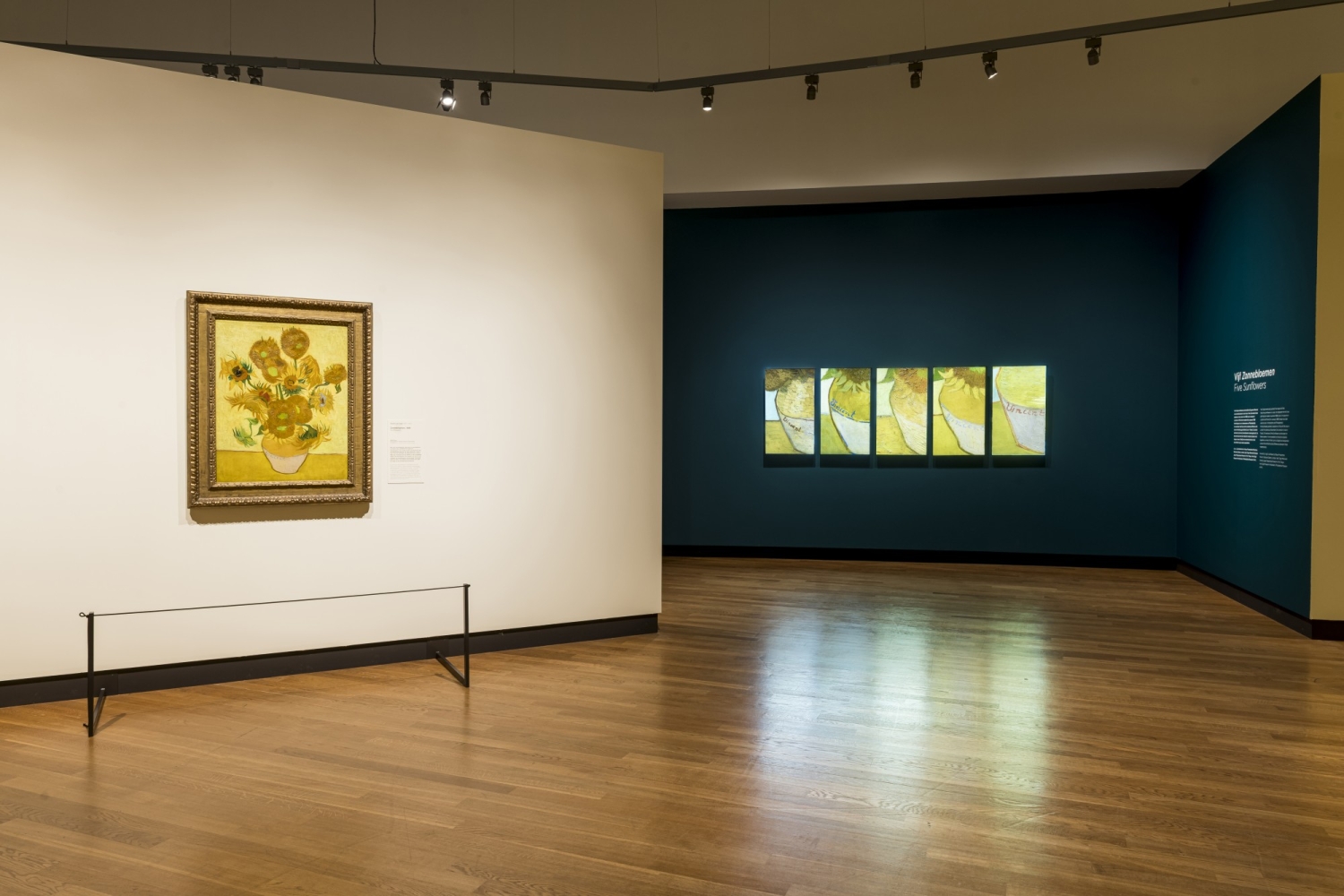 Van Gogh en de Zonnebloemen