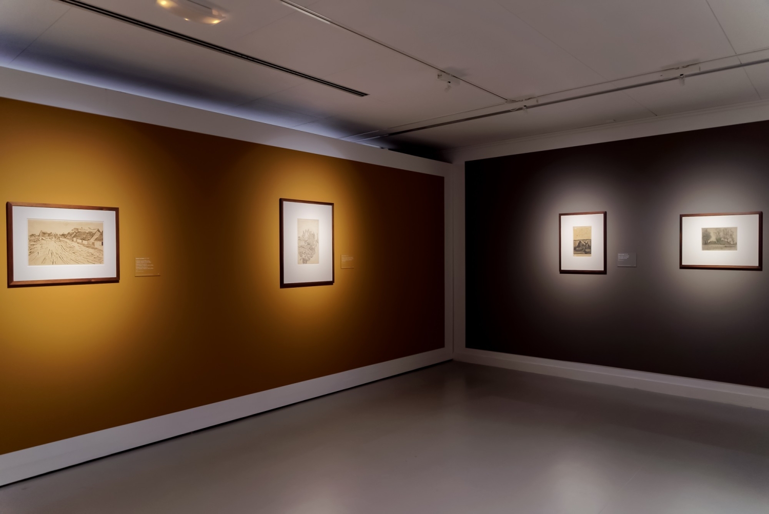 Van Gogh in de Borinage