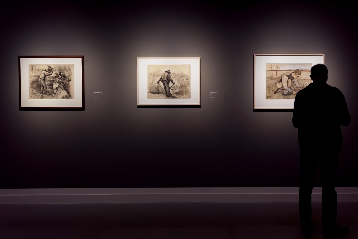 Van Gogh in de Borinage
